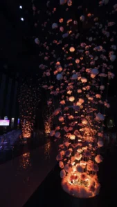 Party Decorations in Adelaide, Adelaide Event Decorations, Adelaide Prop Hire, Luxe Event Hire, Adelaide Wedding Decoration Hire, Modern Party Hire Adelaide, Glow Led Ligths, Birthday Decoration Services, Holydays Decoration Services, Christmas Decoration Services